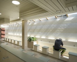 Benedict O'Looney Architects